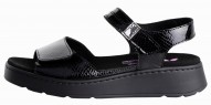 ORI BLACK