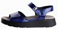 ORI NAVY