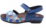 TABBY BLUE