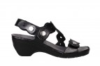 PETULA BLACK
