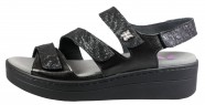 MAINE BLACK