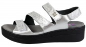 MAINE SILVER